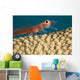 A close look Wall Mural