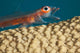 A close look Wall Mural