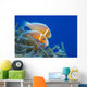 Common Anemonefish Wall Decal