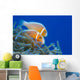 Common Anemonefish Wall Decal