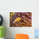 This common anemonefish Wall Mural