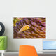 This common anemonefish Wall Mural