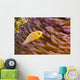 This common anemonefish Wall Mural