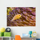 This common anemonefish Wall Mural