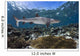 Whitetip Reef Shark Cruises Wall Decal