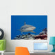 Blacktip reef shark Wall Mural
