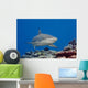 Blacktip reef shark Wall Mural