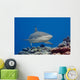 Blacktip reef shark Wall Mural