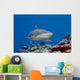 Blacktip reef shark Wall Mural