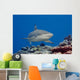 Blacktip reef shark Wall Mural