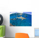 Blacktip reef sharks Yap, Micronesia Wall Mural