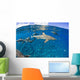 Blacktip reef sharks Yap, Micronesia Wall Mural