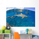 Blacktip reef sharks Yap, Micronesia Wall Mural