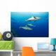 Gray reef sharks Wall Mural