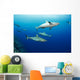 Gray reef sharks Wall Mural