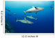 Gray reef sharks Wall Mural