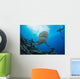 Gray reef sharks and divers Wall Mural