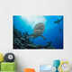 Gray reef sharks and divers Wall Mural
