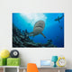 Gray reef sharks and divers Wall Mural