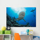 Gray reef sharks and divers Wall Mural