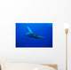 An underwater view of a humpback whale Wall Mural
