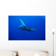 An underwater view of a humpback whale Wall Mural