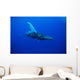 An underwater view of a humpback whale Wall Mural