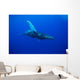 An underwater view of a humpback whale Wall Mural