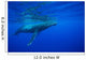 Humpback whale Wall Mural