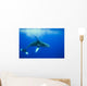 Humpback whale Wall Mural