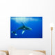 Humpback whale Wall Mural