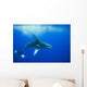 Humpback whale Wall Mural