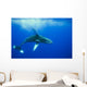 Humpback whale Wall Mural