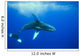 Humpback whale Wall Mural