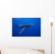 Humpback whale Wall Mural