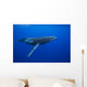 Humpback whale Wall Mural