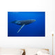Humpback whale Wall Mural