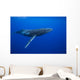 Humpback whale Wall Mural