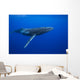 Humpback whale Wall Mural