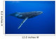 Humpback whale Wall Mural