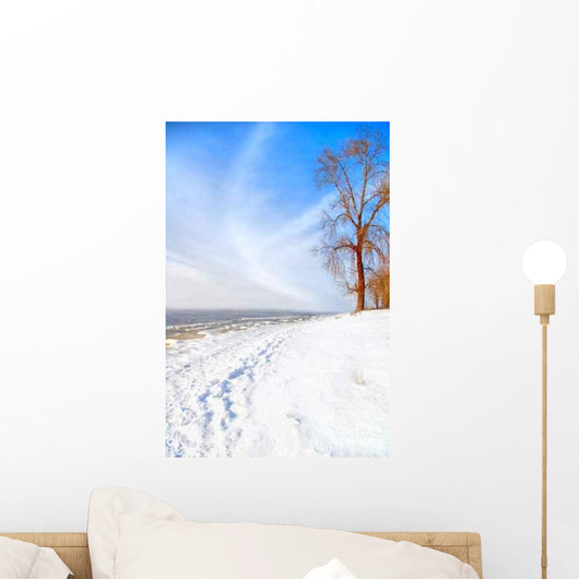 Beautiful Sunny Winter Day Wall Decal