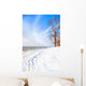 Beautiful Sunny Winter Day Wall Decal