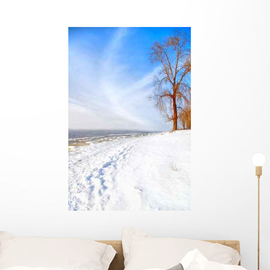 Beautiful Sunny Winter Day Wall Decal