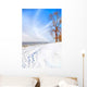Beautiful Sunny Winter Day Wall Decal