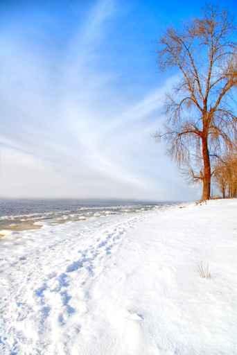 Beautiful Sunny Winter Day Wall Decal