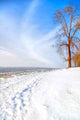 Beautiful Sunny Winter Day Wall Decal