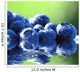 Blueberries Blueberry Vaccinium Myrtillus