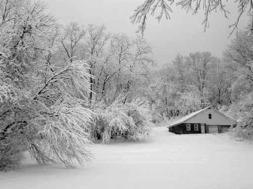 Winter Wonderland Wall Decal