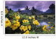 Hawaii, Maui, Yellow flowers at the Waikapu Valley Tropical Plantation Wall Mural