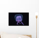 Hawaii, Pink Jellyfish, black background Wall Mural